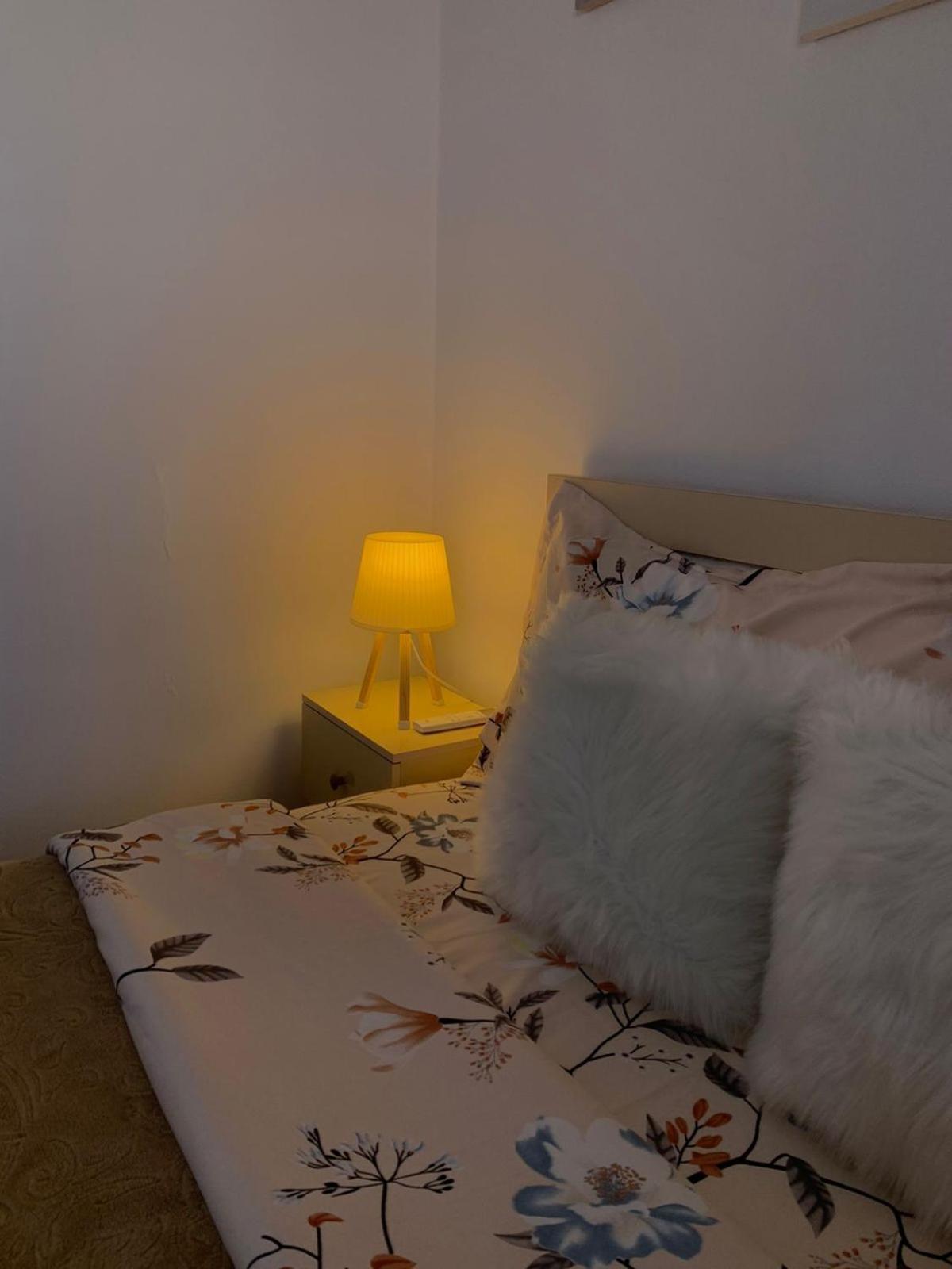 Ridi'S Comfort Apartment 2 Shkodër エクステリア 写真