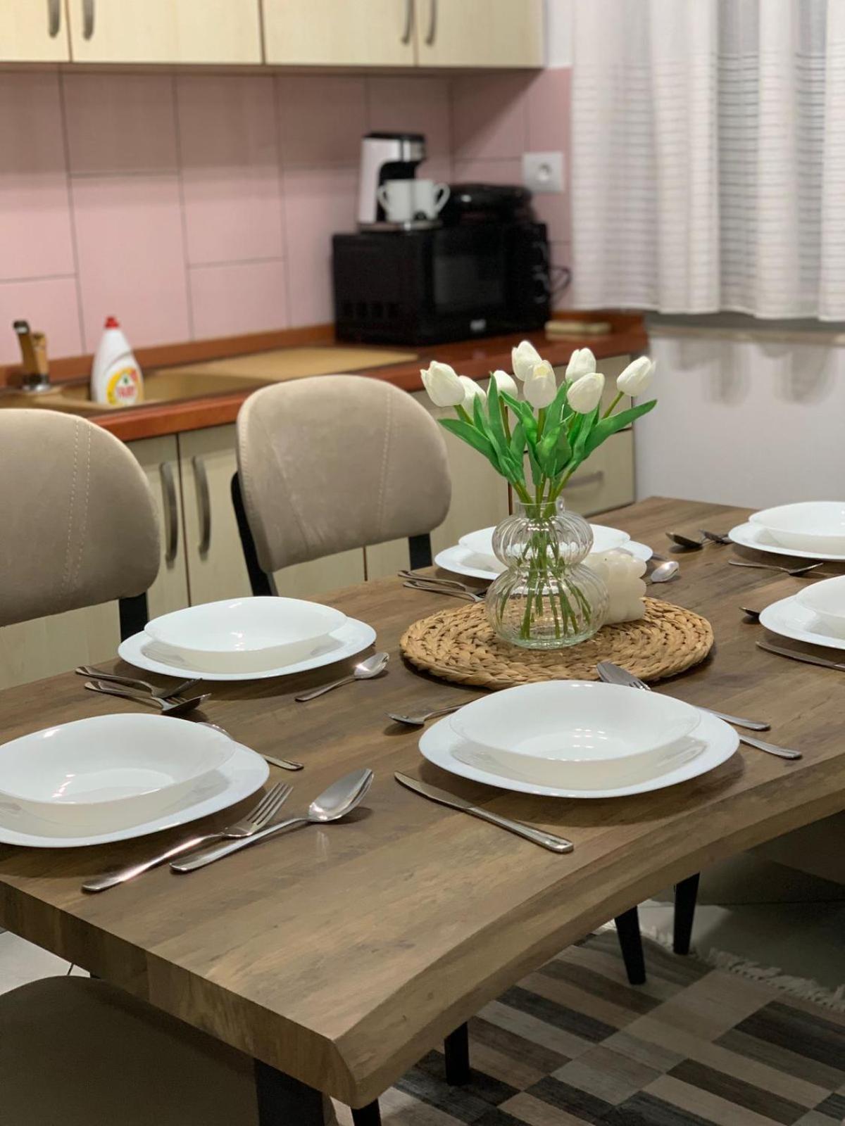 Ridi'S Comfort Apartment 2 Shkodër エクステリア 写真