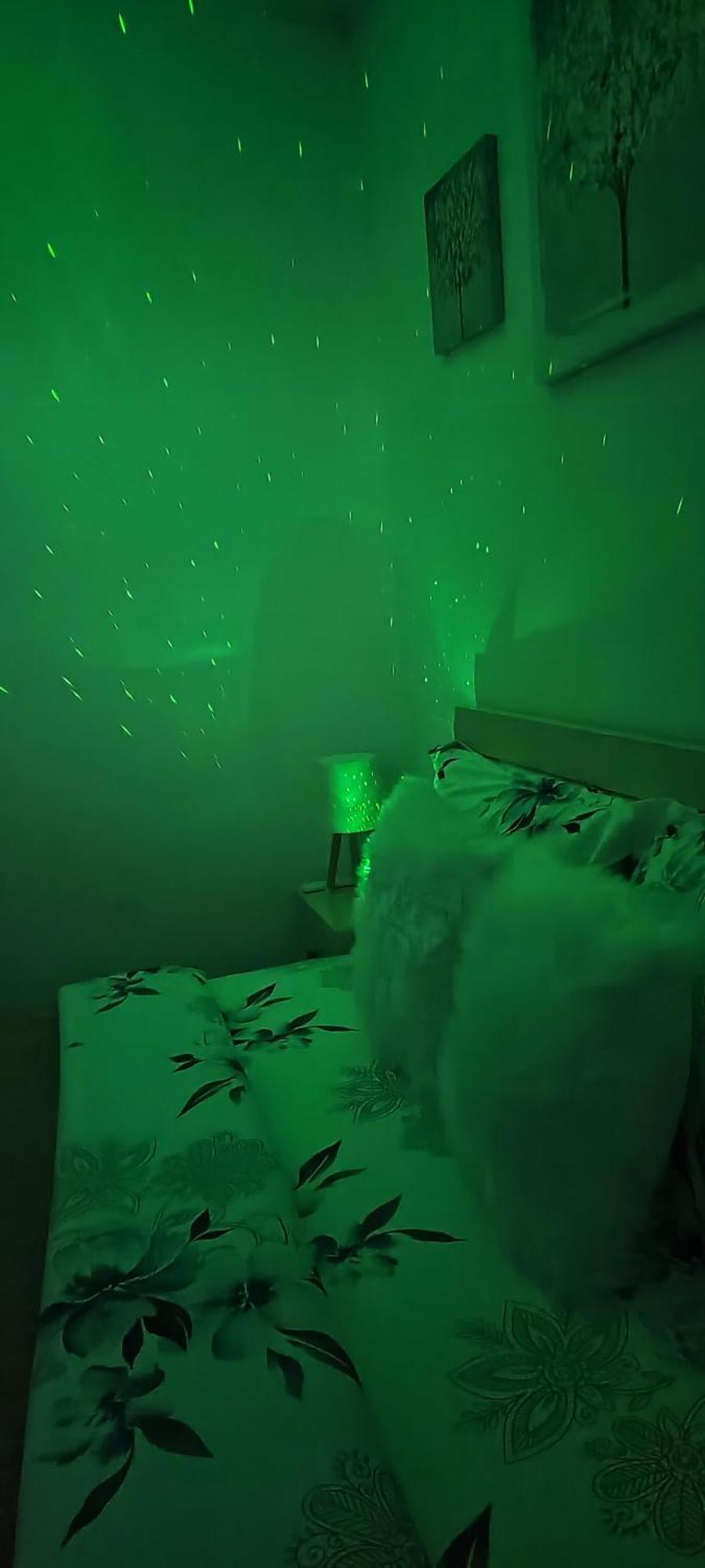 Ridi'S Comfort Apartment 2 Shkodër エクステリア 写真